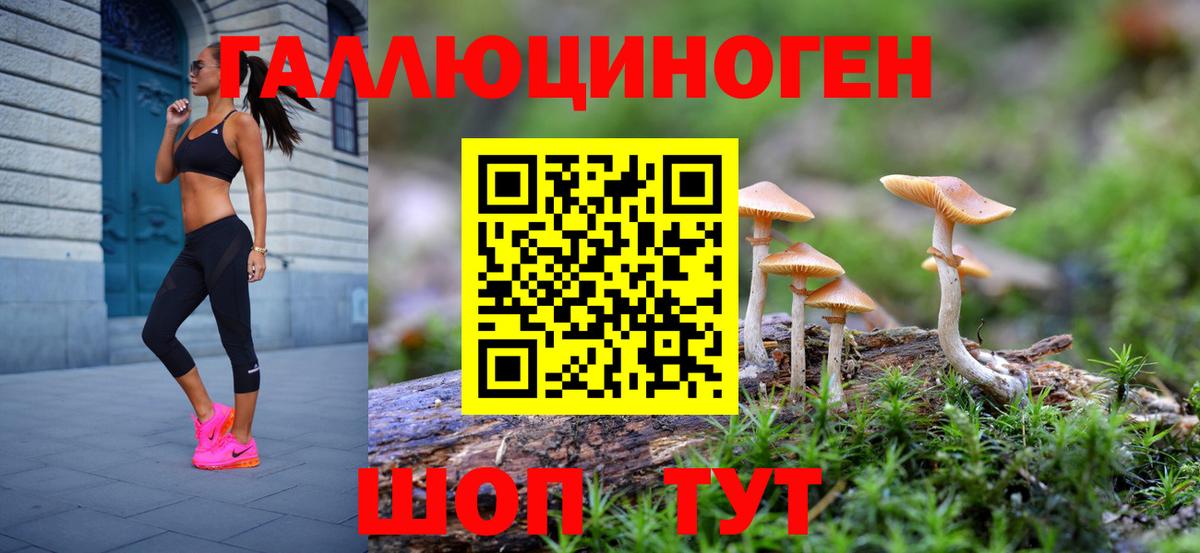 Псилоцибиновые грибы Magic Shrooms Каменск-Шахтинский