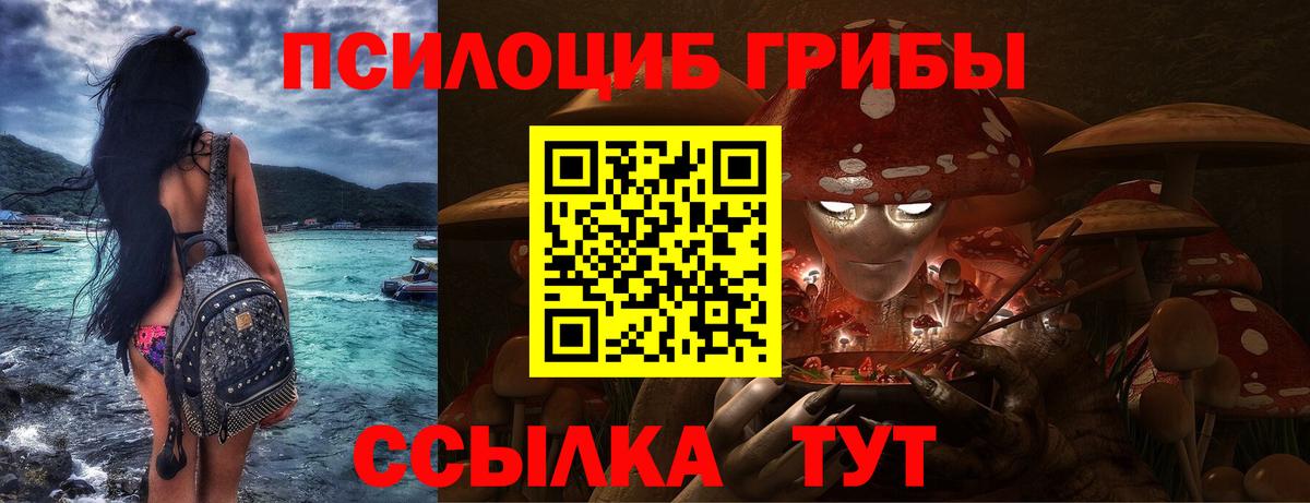 Псилоцибиновые грибы Cubensis  Галлюциногенные грибы прущие грибы  Каменск-Шахтинский  Вход с VPN 